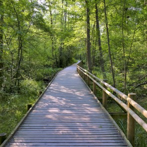 Mangaļsalas pastaigu taka Mangaļsalas pastaigu taka