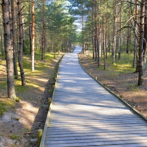 Mangaļsalas pastaigu taka Mangaļsalas pastaigu taka