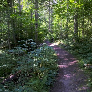 Kubeseles dabas taka Kubeseles dabas taka