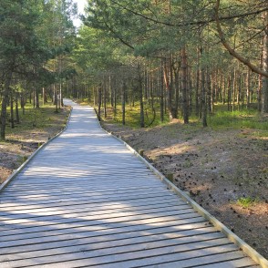 Mangaļsalas pastaigu taka Mangaļsalas pastaigu taka