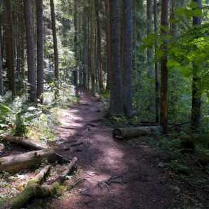 Kubeseles dabas taka Kubeseles dabas taka