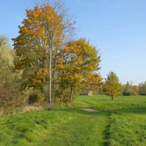 Rūjas upes palienes taka Rūjas upes palienes taka