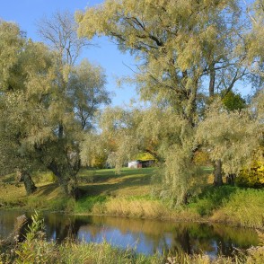 Rūjas upes palienes taka Rūjas upes palienes taka