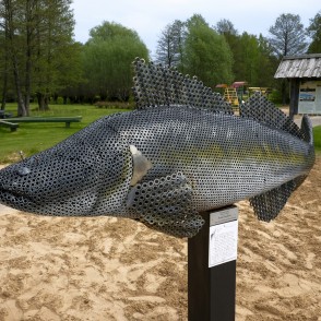 "Veiksmes zandarts", Limbaži "Veiksmes zandarts", Limbaži