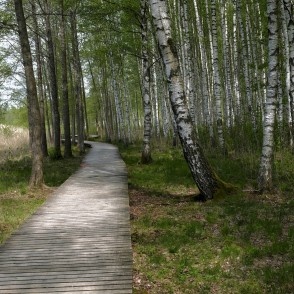Lielezera dabas taka Limbažos Lielezera dabas taka Limbažos