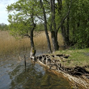 Walking Along The Lielezers Nature Trail Walking Along The Lielezers Nature Trail