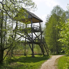 Bird-watching Towers By The Lielezers Lake Bird-watching Towers By The Lielezers Lake
