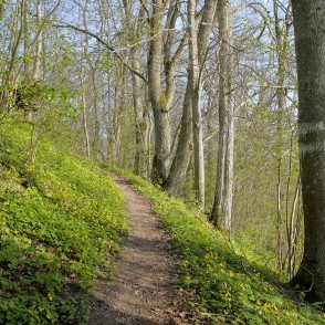 Imulas dabas taka Imulas dabas taka