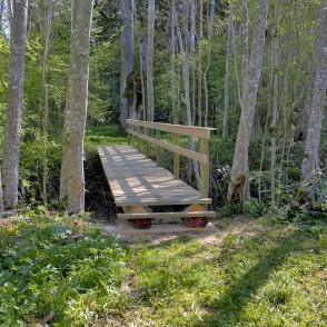 Tiltiņš Ukru gāršas takā Tiltiņš Ukru gāršas takā