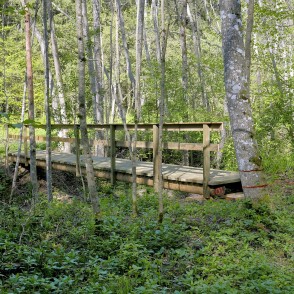 Ukru gāršas taka Ukru gāršas taka