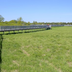 Svētes palienes pļavu laipas Svētes palienes pļavu laipas