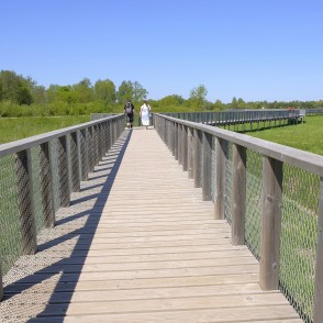 Svētes palienes pļavu pastaigu laipas Svētes palienes pļavu pastaigu laipas