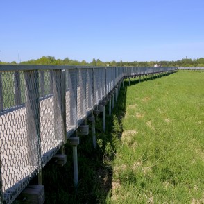 Koka laipas Svētes palienes pļavās Koka laipas Svētes palienes pļavās
