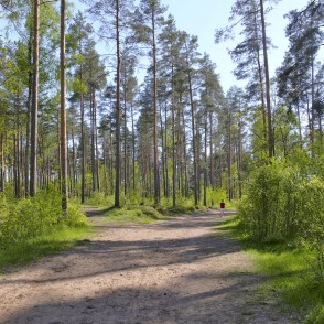 Medema purva taka Medema purva taka