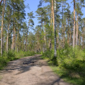 Medema purva takas sākums Medema purva takas sākums