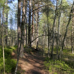 Medema purva taka Medema purva taka