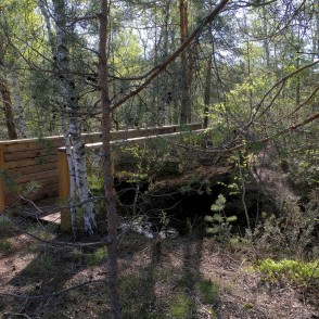 Tiltiņš Medema purva takā Tiltiņš Medema purva takā