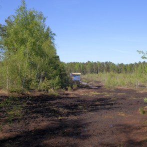 Medema purvs Medema purvs