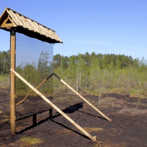 Medema purva taka Medema purva taka