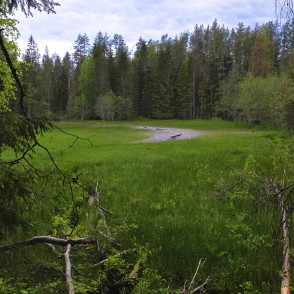 Ejot pa Līču-Laņģu klinšu taku Ejot pa Līču-Laņģu klinšu taku
