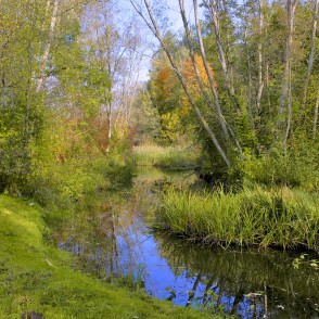 Auces upe pie Bēnes Auces upe pie Bēnes