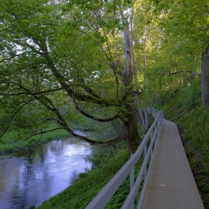 Iecavas Dievdārziņa dabas taka Iecavas Dievdārziņa dabas taka