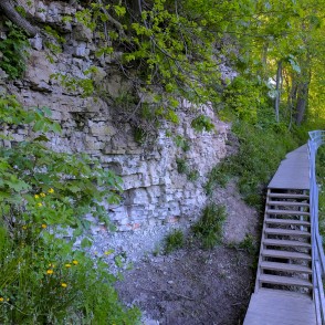 Dolomīta atsegumi Dievdārziņa dabas takā (Iecava) Dolomīta atsegumi Dievdārziņa dabas takā (Iecava)