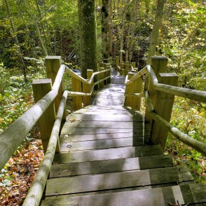 Embūtes dabas taka Embūtes dabas taka