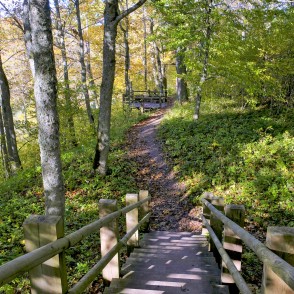 Embūtes dabas taka Embūtes dabas taka