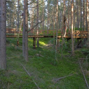 Koka tilts Bernātu dabas takās Koka tilts Bernātu dabas takās