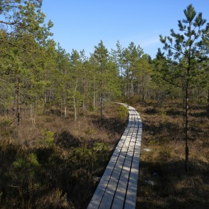 Sēra dīķu laipa Sēra dīķu laipa