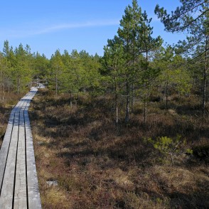 Sēra dīķu laipa Sēra dīķu laipa