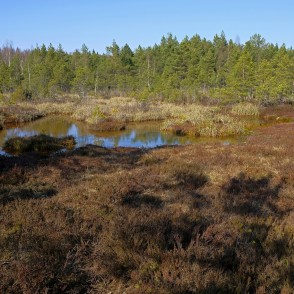 Ķemeru sēra dīķi Ķemeru sēra dīķi