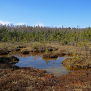 Ķemeru sēra dīķi Ķemeru sēra dīķi