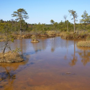 Ķemeru sēra dīķi Ķemeru sēra dīķi