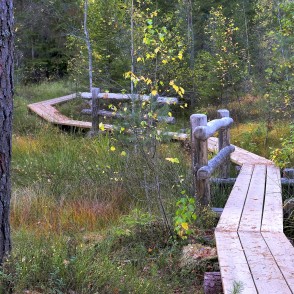 Ejot pa Vasenieku purva taku Ejot pa Vasenieku purva taku