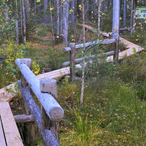 Ejot pa Vasenieku purva taku Ejot pa Vasenieku purva taku