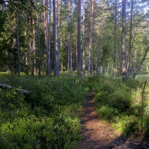 Lejas ezera taka Lejas ezera taka