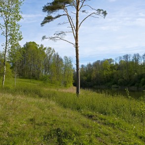 Ejot pa Satiķu dabas taku Ejot pa Satiķu dabas taku