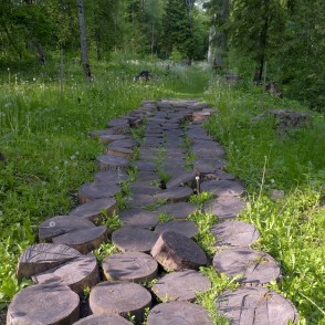 Gārsenes dabas takas, Ošu aleja Gārsenes dabas takas, Ošu aleja