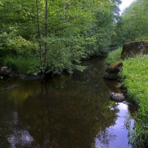 Dienvidsusēja Gārsenes meža parkā Dienvidsusēja Gārsenes meža parkā