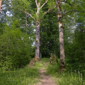 Gārsenes dabas takas Gārsenes dabas takas