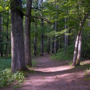 Gārsenes dabas takas Gārsenes dabas takas