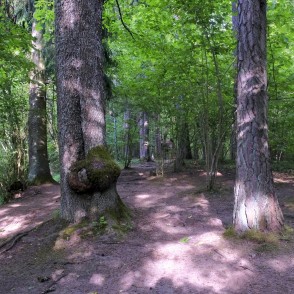 Gārsenes dabas takas Gārsenes dabas takas