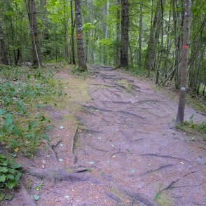 Gārsenes dabas takas Gārsenes dabas takas