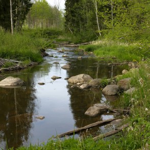 Viesatas upe Viesatas upe