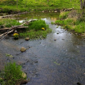 Viesatas upe Viesatas upe