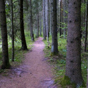 Ejot pa Viesatas dabas taku Ejot pa Viesatas dabas taku