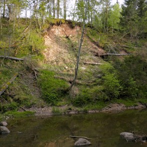 Mazais iezis Viesatas dabas takas maršutā Mazais iezis Viesatas dabas takas maršutā