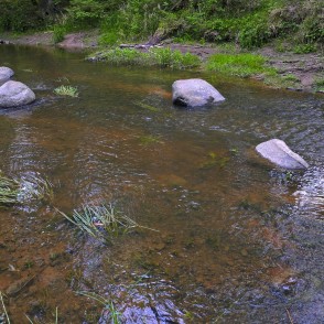 Viesatas upe Viesatas upe